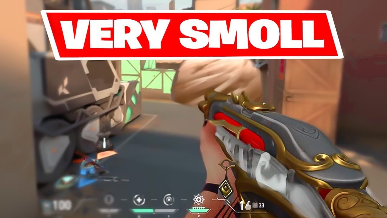 Smooth aim, smoll brain