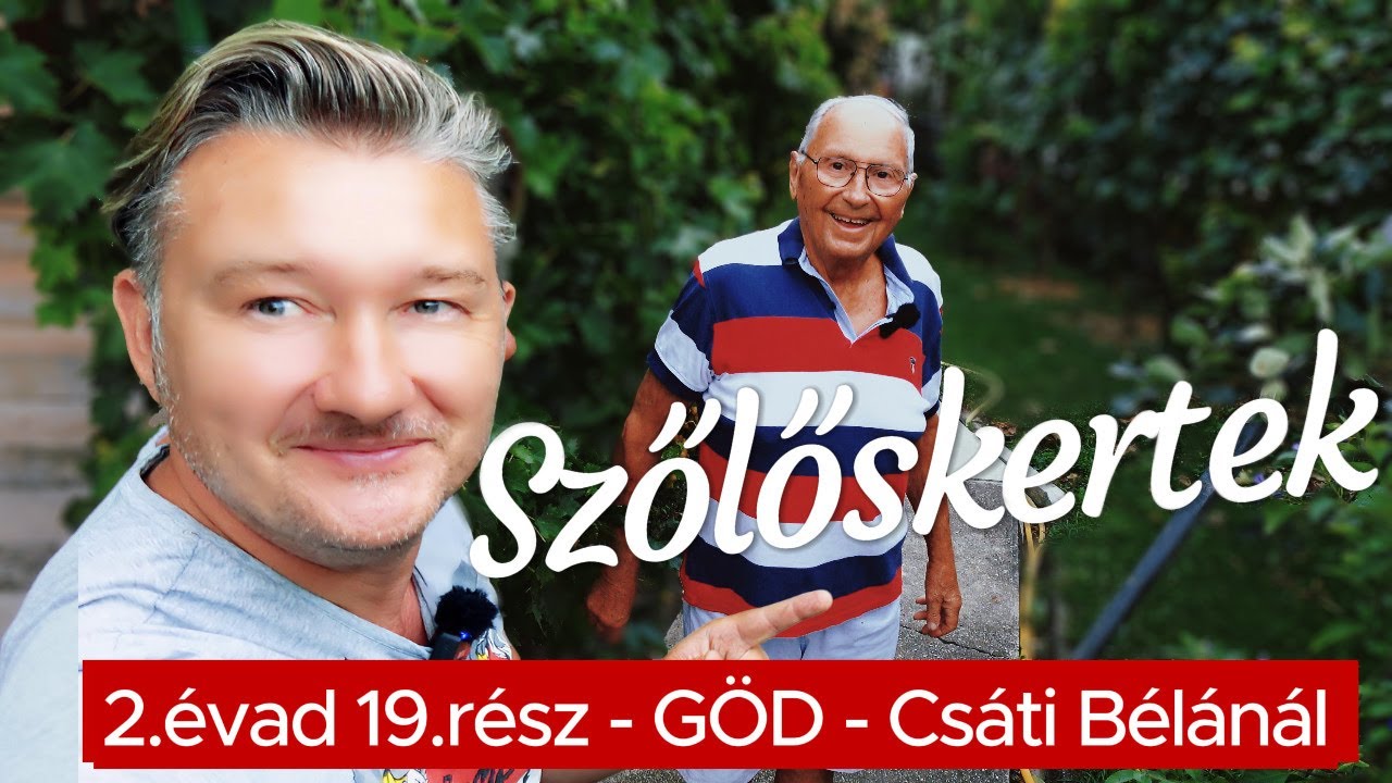🍇 SZŐLŐSKERTEK 2./19.rész  ►GÖD ► Elképesztő szőlőfajták Gödön