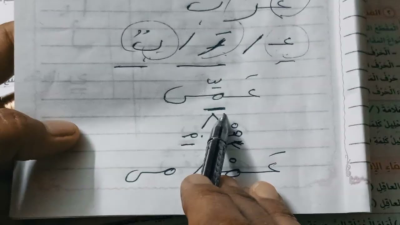 مراجعة الاضواء مع شرح بعض التركات للطلاب تالتة ابتدائي 