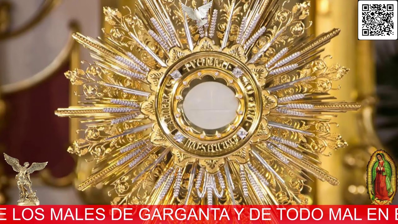 Martes, 03 febrero 2026. Rosario con Oración de Intercesión para Sanación y Liberación Interior