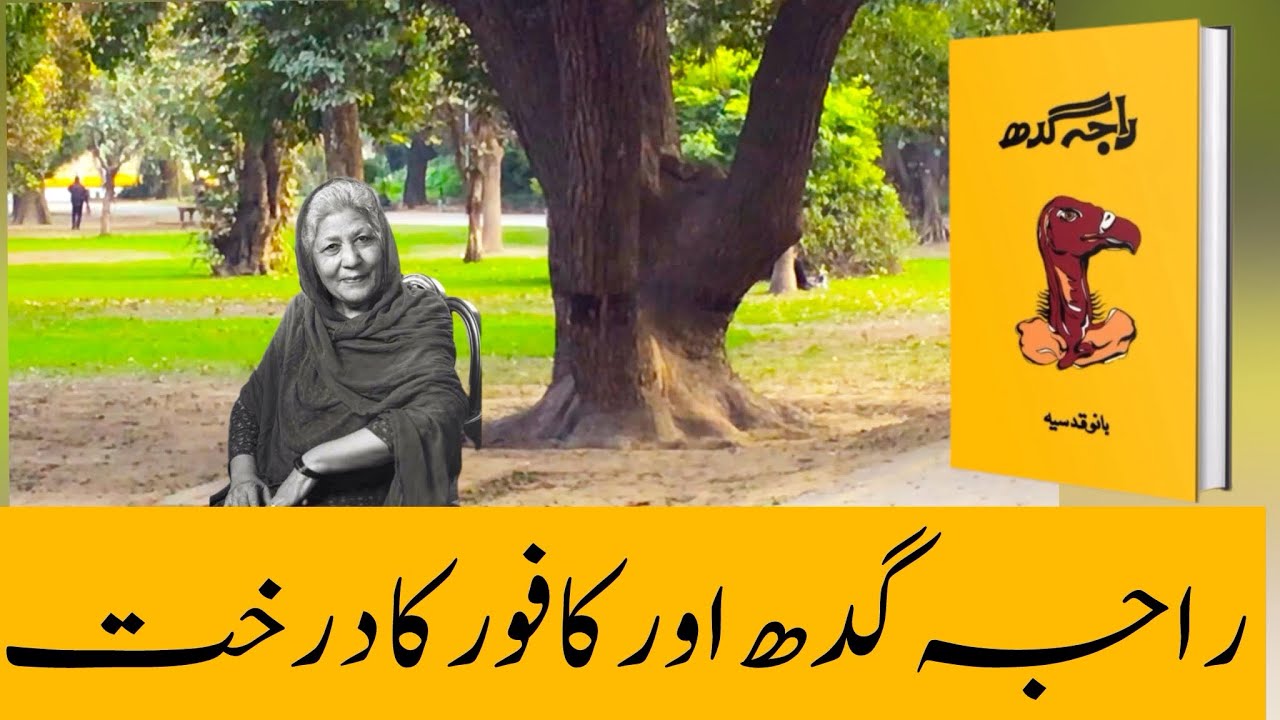 The Camphor Tree of Raja Gidh |Lawrence Garden Lahore |