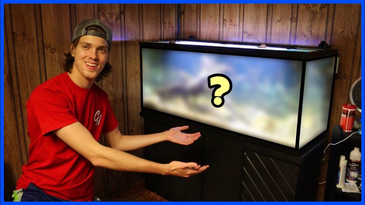 Setting Up My 75 Gallon Aquarium!