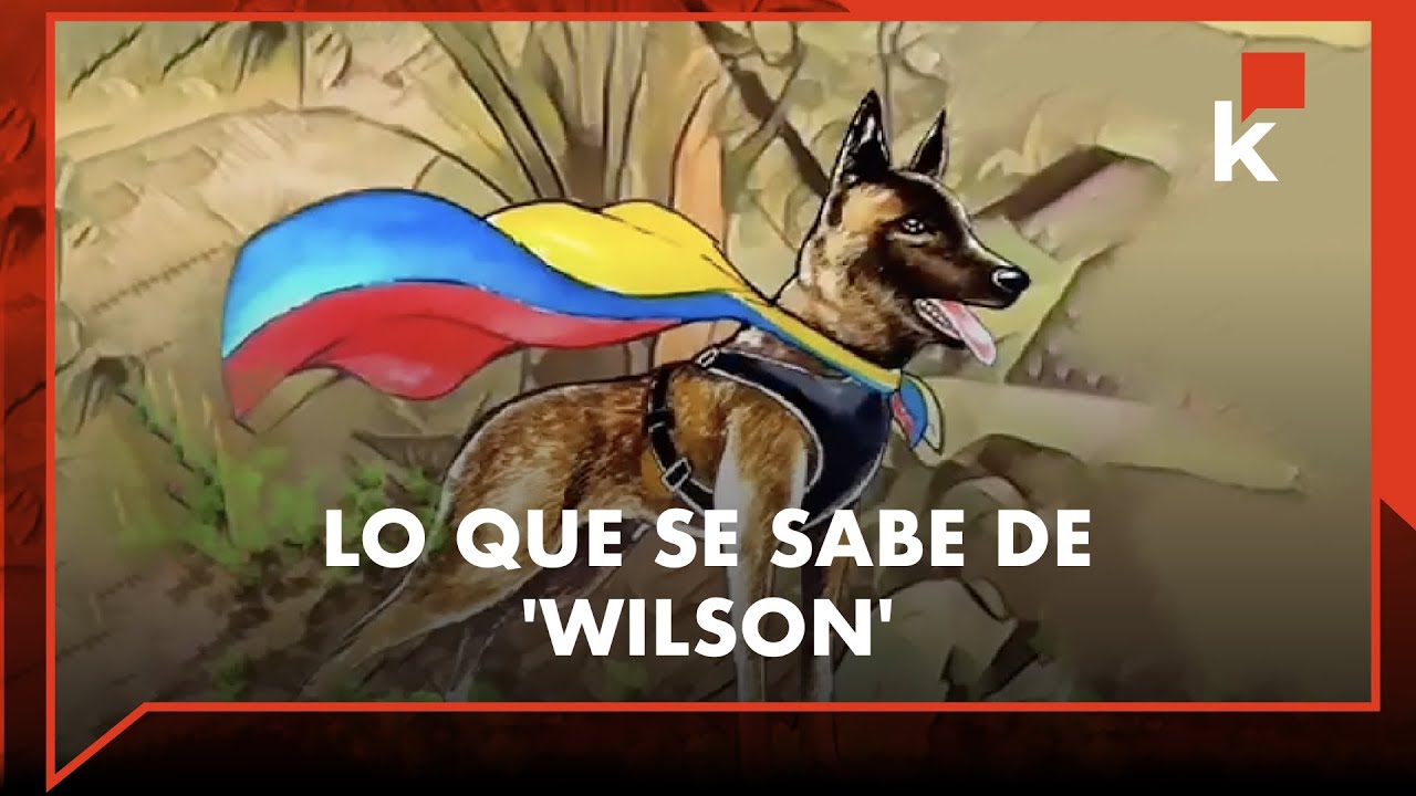 Niños perdidos en el Guaviare: Misterios y otros datos desconocidos de su rescate