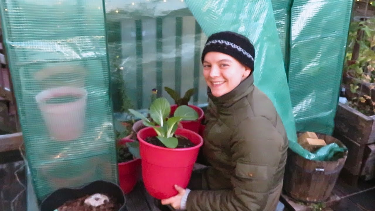 Working in the Garden + Mini Stir-Fry!