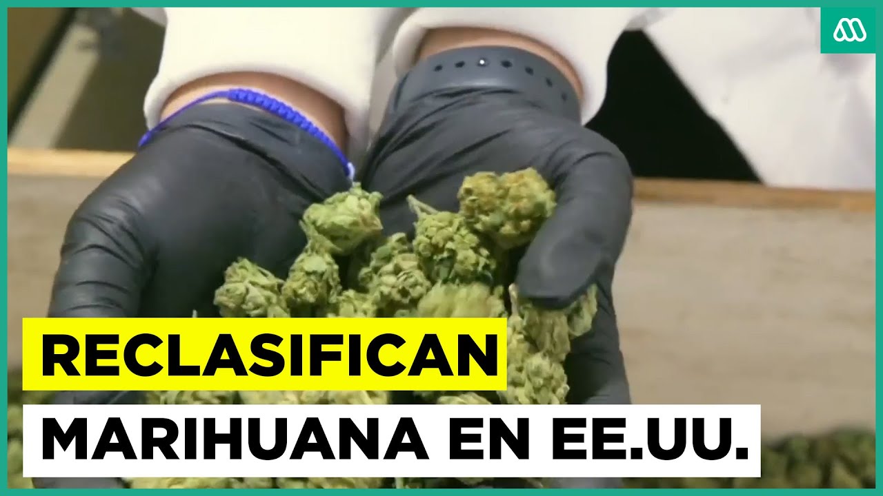 Reclasifican marihuana en Estados Unidos: Se reconoce su uso médico