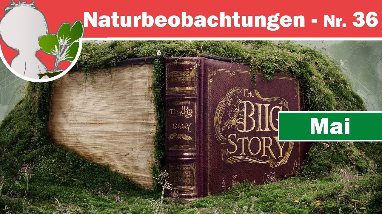 Naturbeobachtungen 36 - Die große Geschichte (der Pflanzenentwicklung)