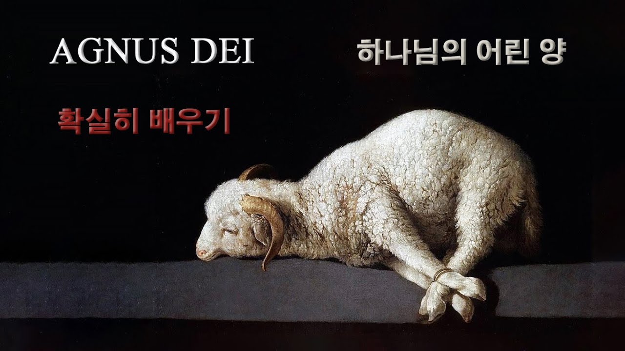 Agnus Dei 완벽레슨.3회반복 (원어가사/발음/한글가사) 하나님의 어린 양/아뉴스데이