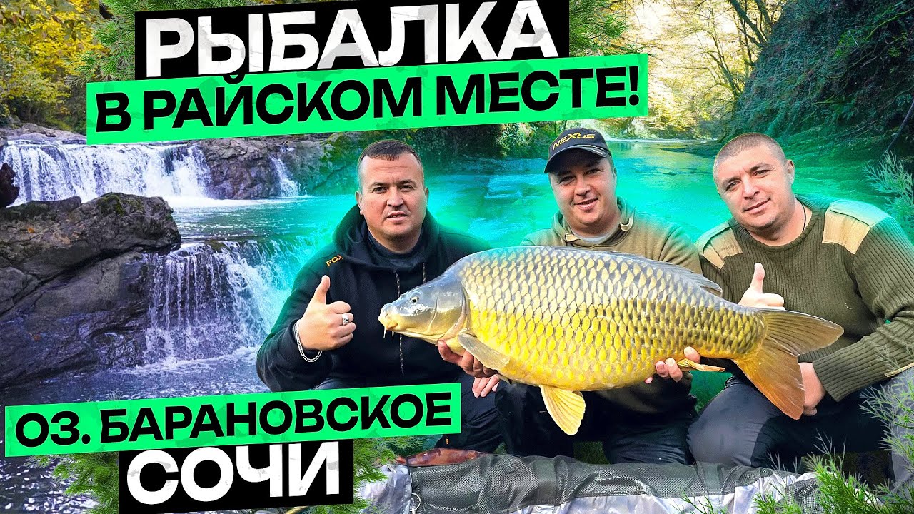 Карповая рыбалка на самом живописном водоеме России. оз. Барановское, Сочи.