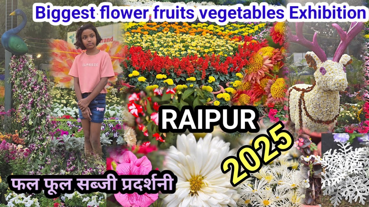 mesmerizing flower fruits vegetables Exhibition 2025 ||फल फूल सब्जी प्रदर्शनी गांधीउद्यान रायपुर2025