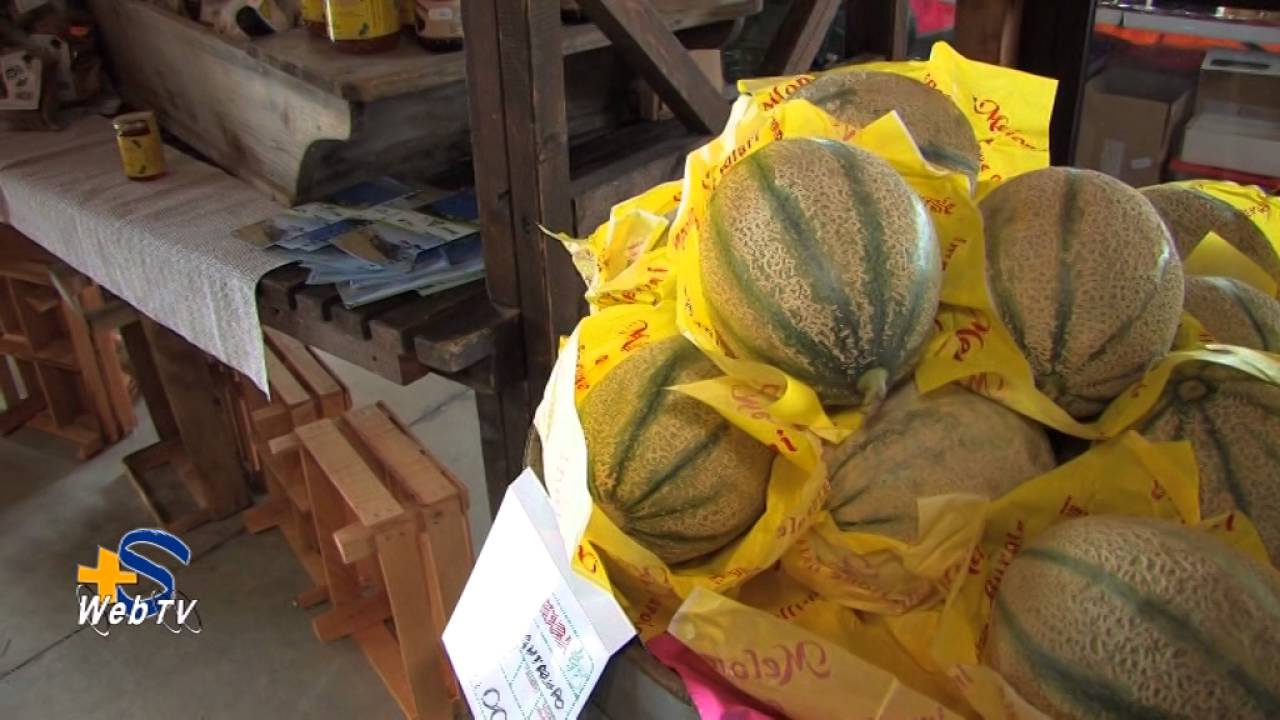 Visita alla cooperativa agricola Valle Lao a.r.l.  Scalea.