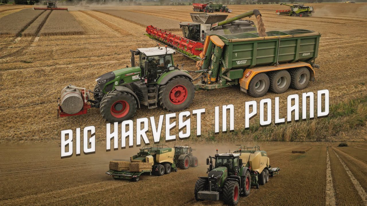 БОЛЬШОЙ УРОЖАЙ В ПОЛЬШЕ ☆ ŻNIWA 2026! ☆ 4X LEXION & 5X FENDT & 2X KRONE BIGPACK 1290 HDP II XC ☆ ...