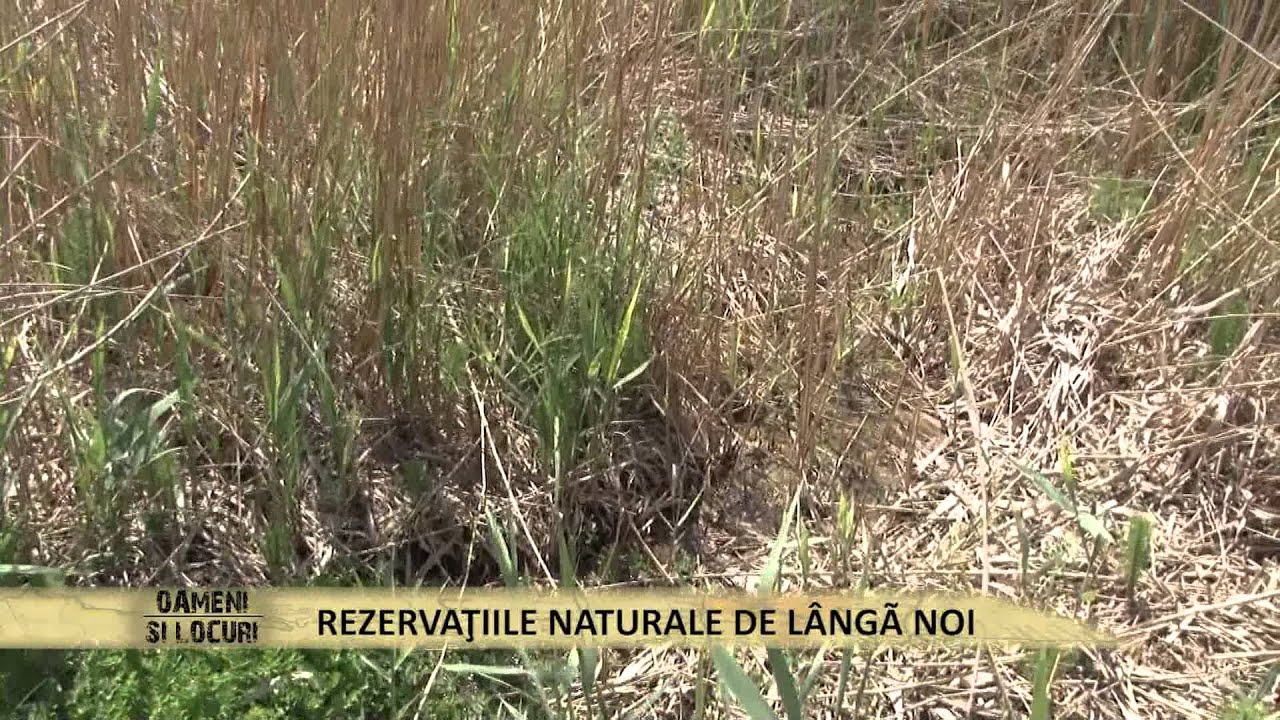 Locuri inedite din judeţul Dâmboviţa