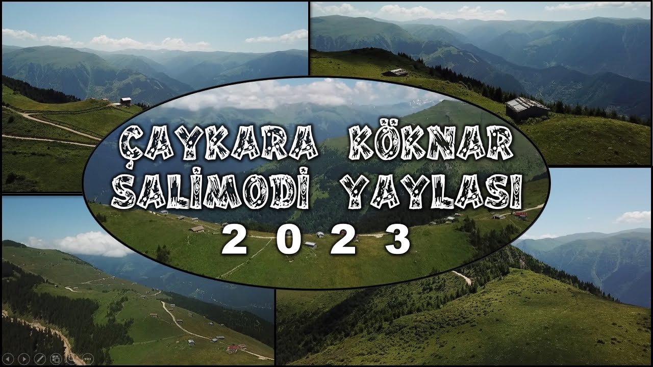 Salimodi 2023