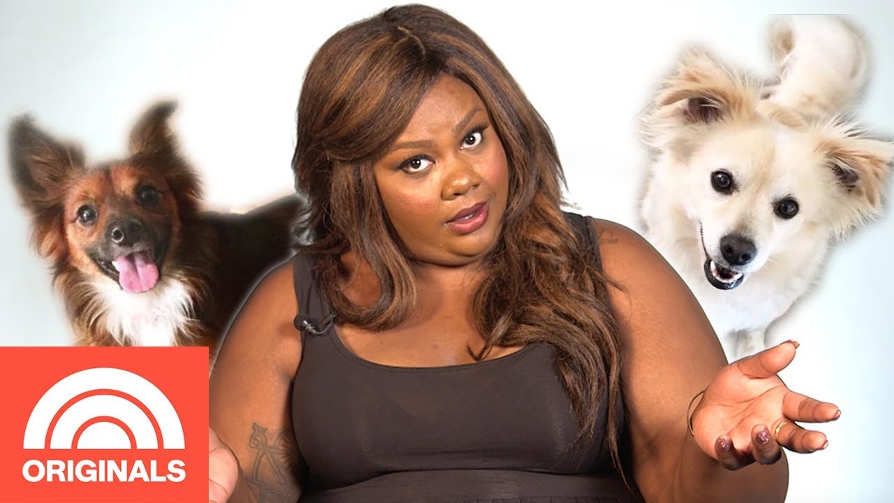 Nicole Byer Reveals The Craziest Things Her Dogs Have Ever Done | My Pet Tale | TODAY