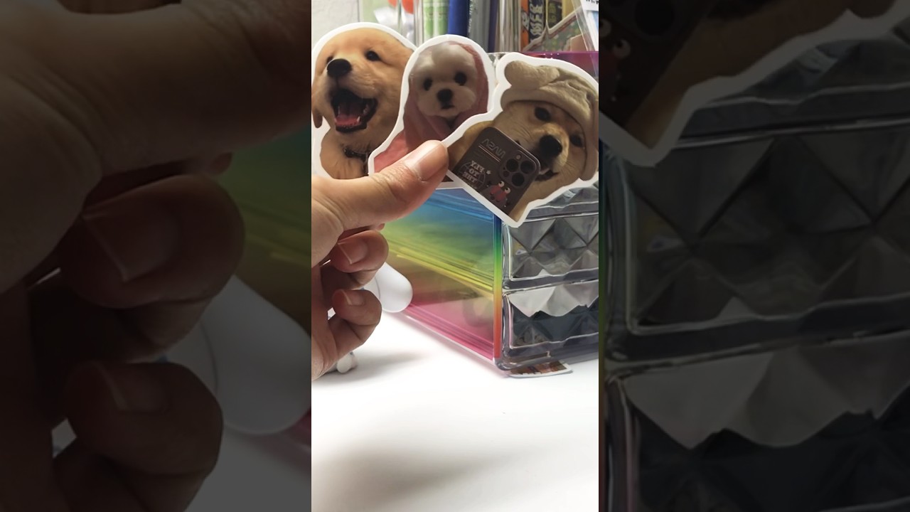 Cute Dog Stickers#sticker #dog #puppy #kawaii #asmr #unboxing