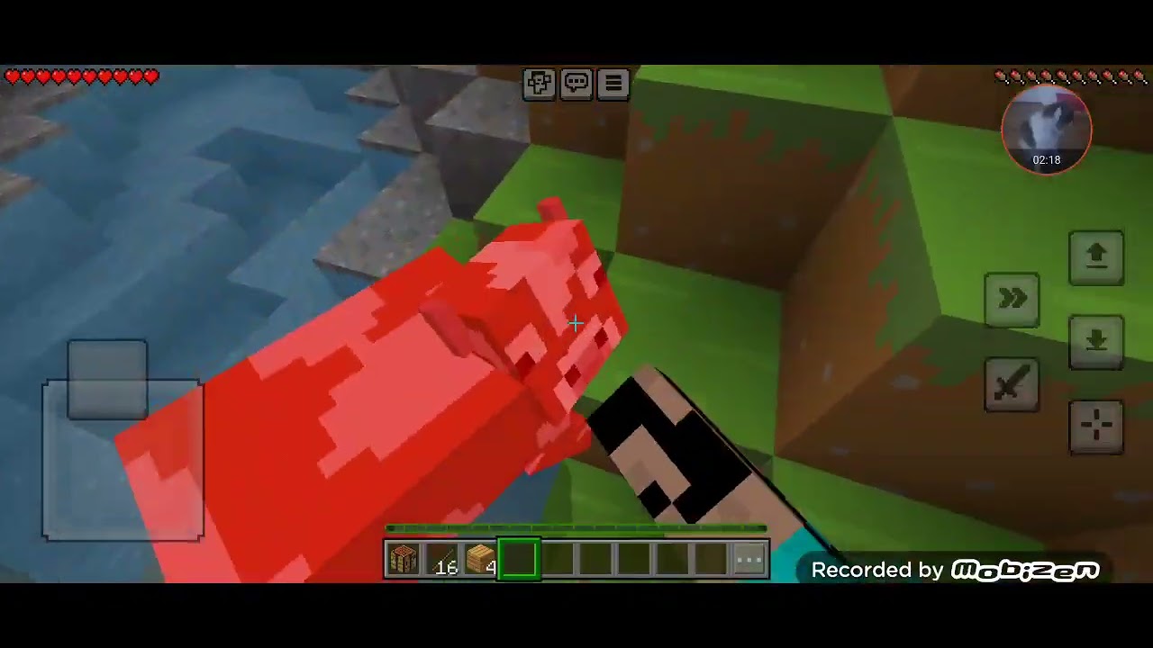 my first minecraft video!