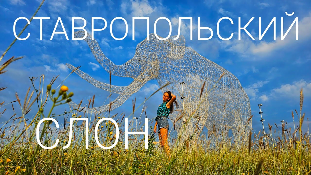 СТАВРОПОЛЬСКИЙ СЛОН | Как добраться | Родина слонов