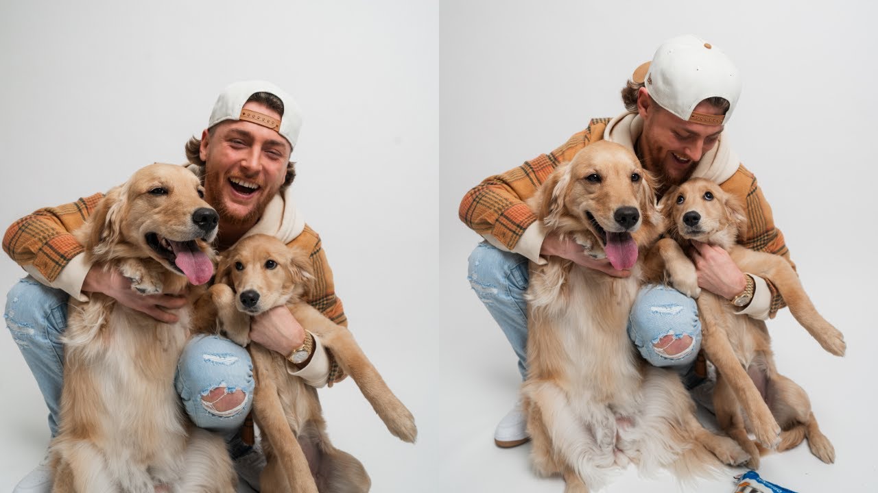 Бейли Циммерман: The Pupdate