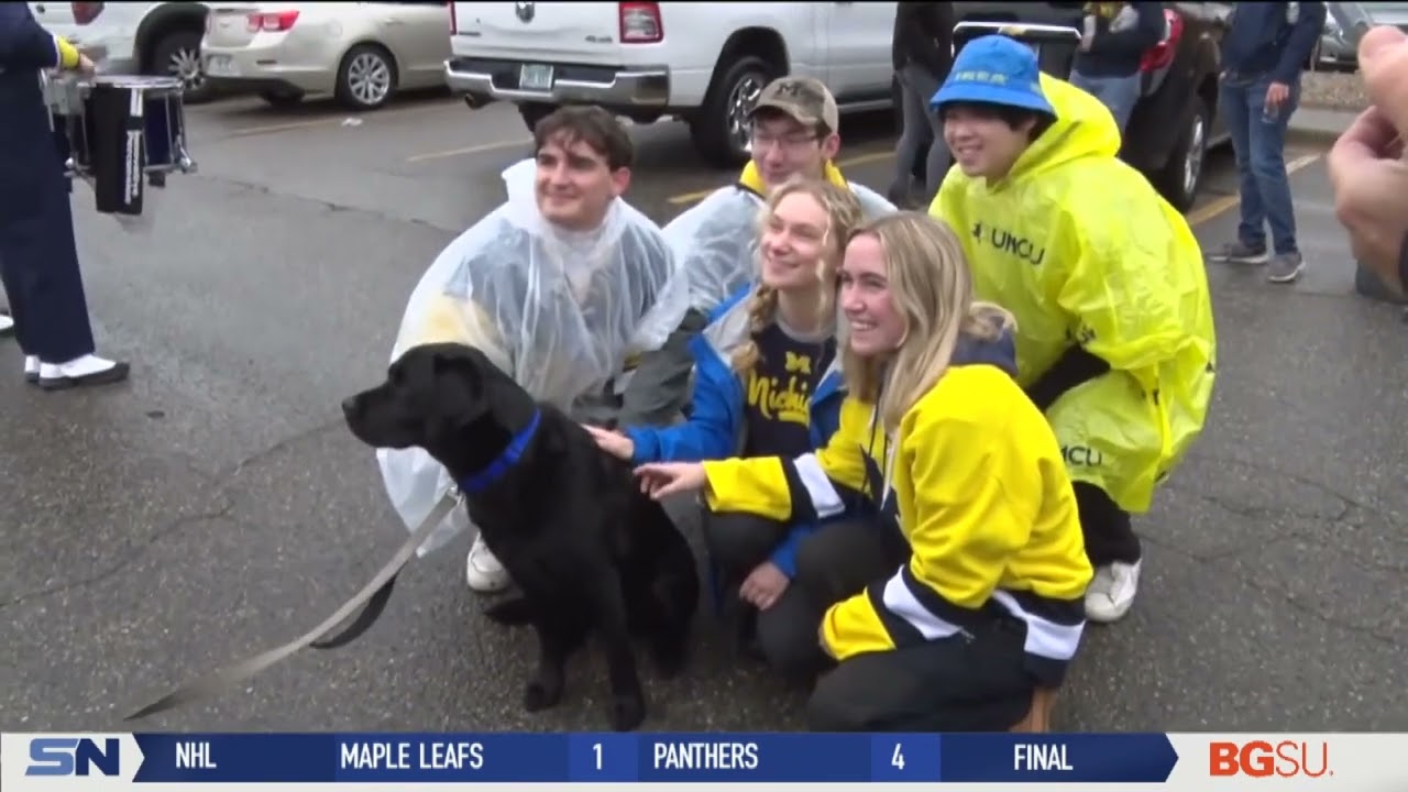 Victor the Frisbee Dog Catches Attention at Michigan Football Games