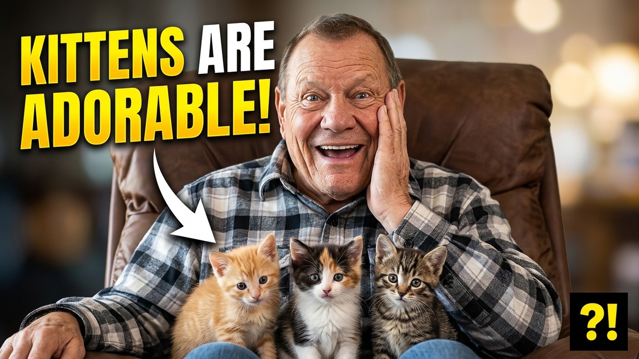 Owning a Cat as a Senior | Funny Things We Say to Our Cats After 70