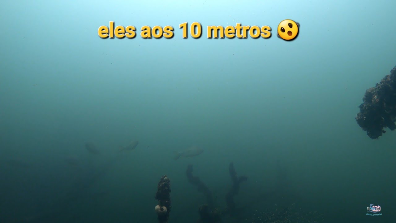 Encontramos o monstro em águas profundas MAIS DE 8 METROS desci nesta PESCA SUB para achar peixes d