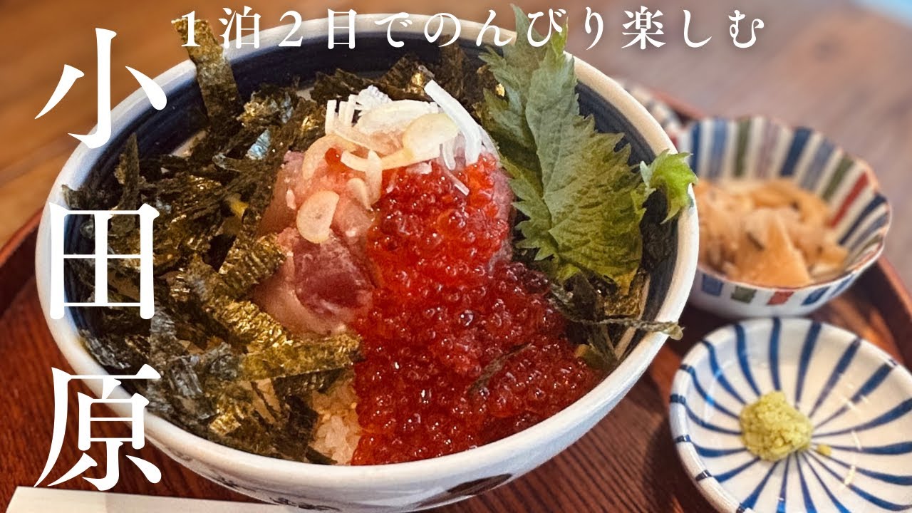 【冬の小田原】天成園小田原駅別館に泊まって海鮮丼を食べに行ったり、神社内のカフェでお茶したり海に行ったり。のんびり楽しんだ2月の小田原旅🐟🍡♨️