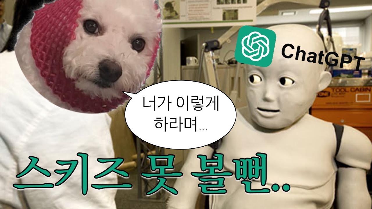 스키즈 보러 시즈오카 못 갈 뻔