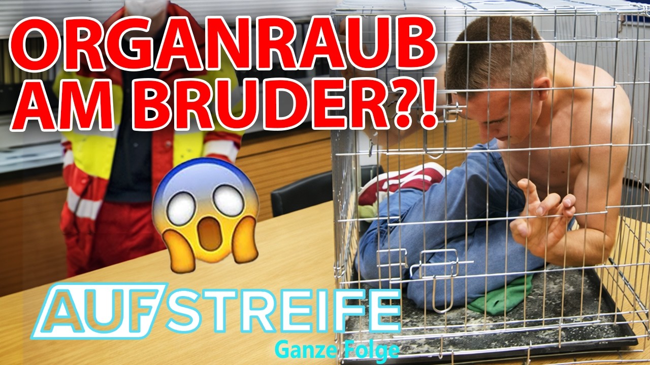 Organraub am eigenen Bruder?! T&auml;ter zwingt Tierarzt zur Nieren-OP! | Auf Streife-Ganze Folge | SAT.1