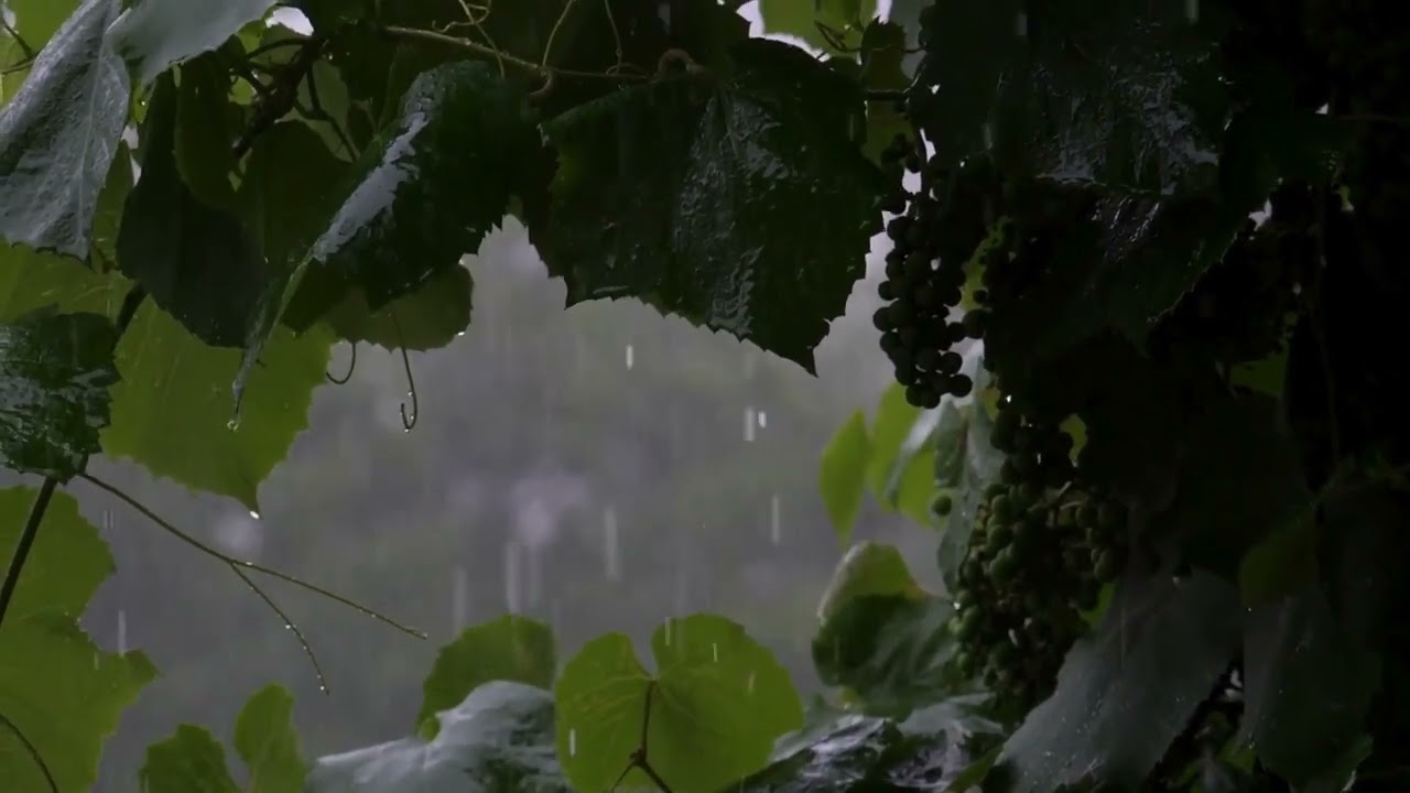 15 minutes of rainfall stress relief music, deep meditation, innermost peace and relaxation