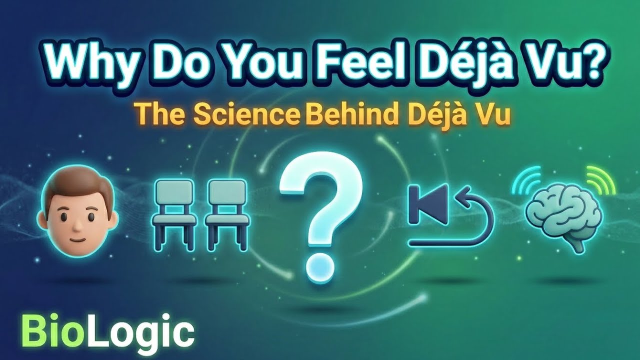 🌀 Why Do You Feel Déjà Vu? | BioLogic 🧬