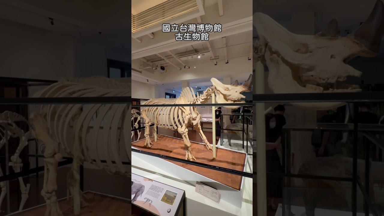 國立台灣博物館-古生物館-值得一看 