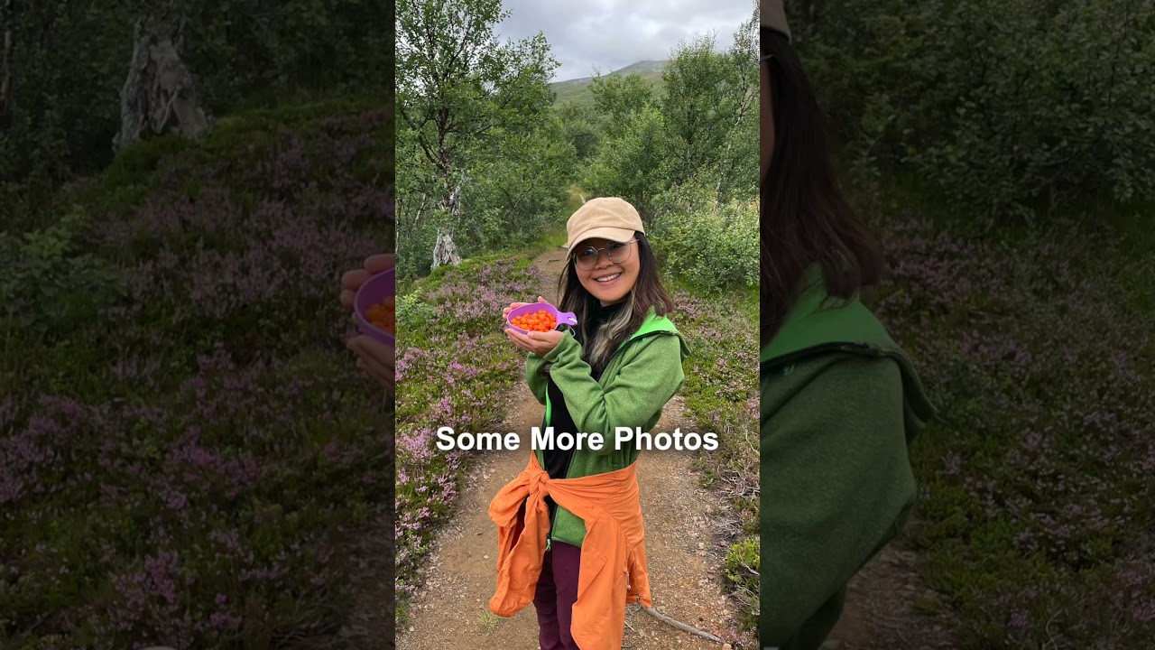 Foraging in Sweden 