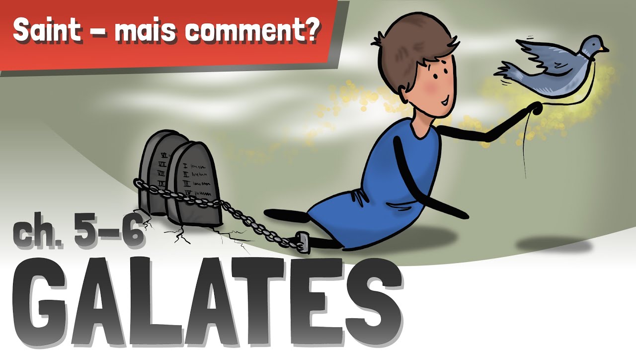 Galates - Chapitres 5 & 6: Tu es libre ! Alors vis comme tel !