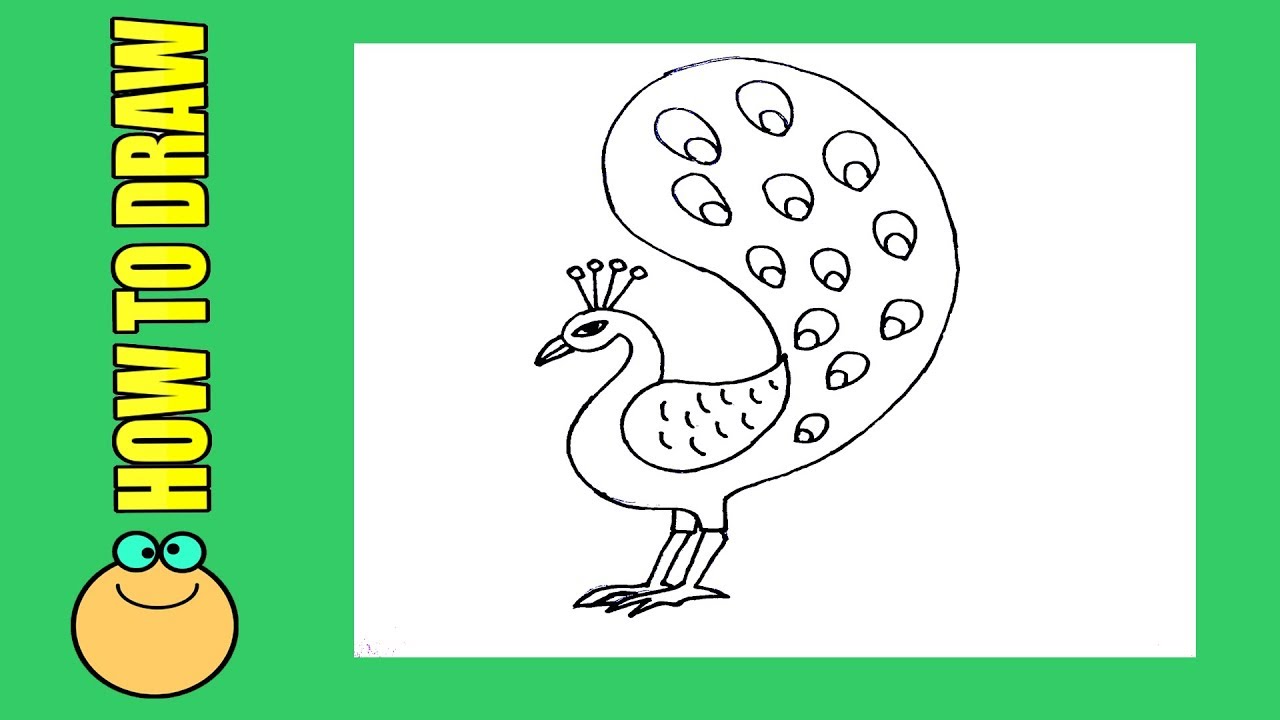 How to draw a Peacock with pencil sketch step by step for beginners