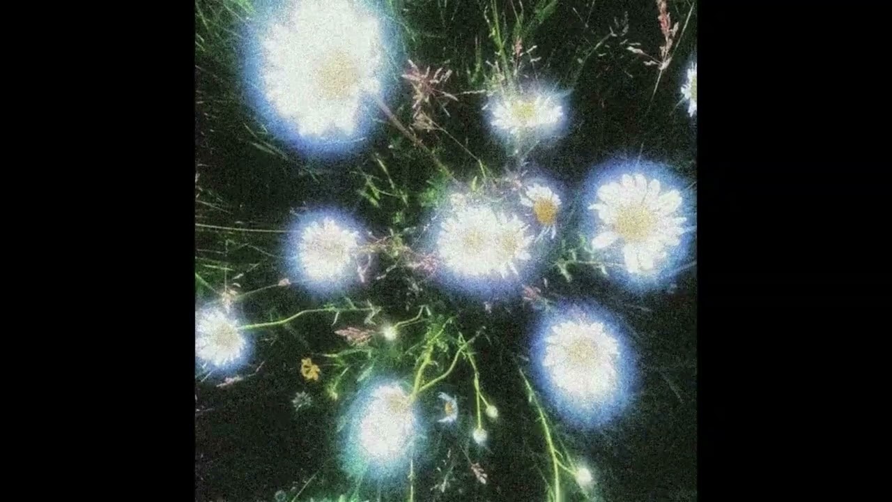 [FREE] Wallace Cleaver Type Beat ~ merci.