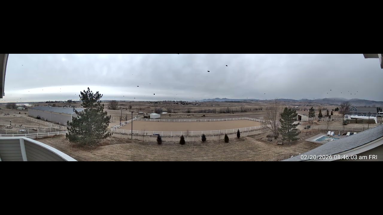 Wildsong Ranch Daily Timelapse - Friday February 20 2026