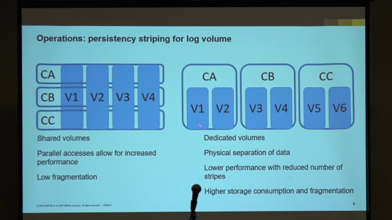 Performance of Containerized Database Management Systems