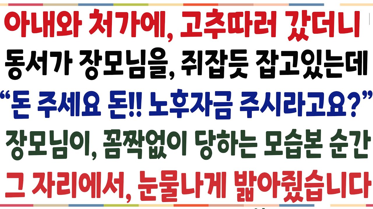 (반전신청사연) 아내와 처가에 야채를 받으러 갔더니 동서가 장모님에게 말도 안된 행동을 하고있는데, 