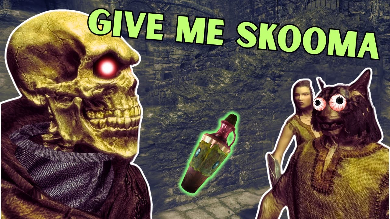 Now I Understand Why They BAN Khajiits in Skyrim - Skyrim AI NPC's & Vigilant Quest (DLC) Mod