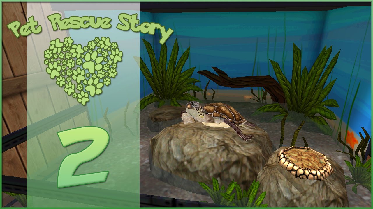 Pet Rescue Story || Turtles for Adoption! - Episode #2