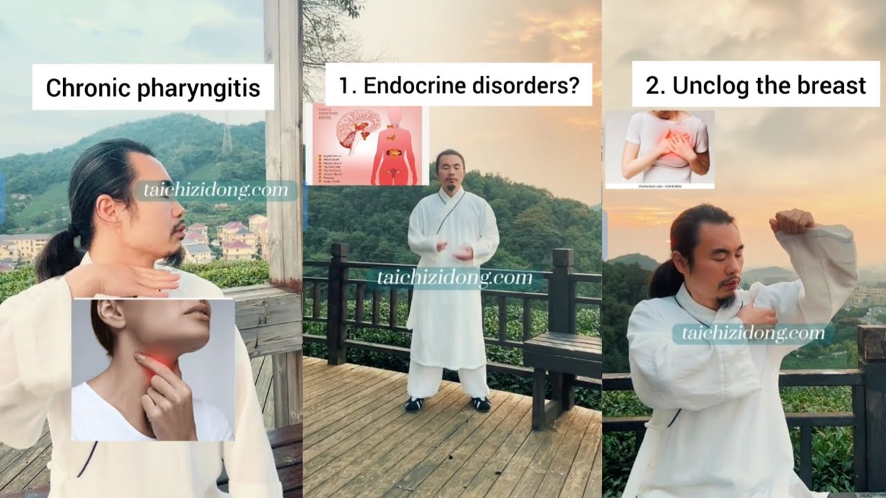 Most Important Tai chi Exercises | Endocrine disruptors | Wudang Zidong 