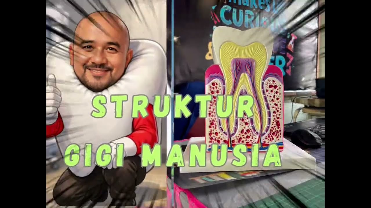 STRUKTUR GIGI MANUSIA 