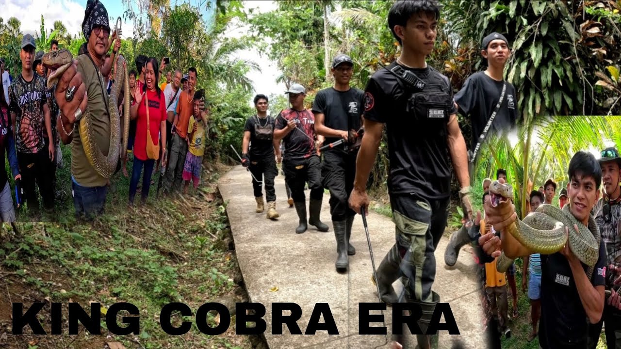 ITO NA ANG LIMANG NAHULI NA KING COBRA THE BEST ADVENTURE #cobraprince
