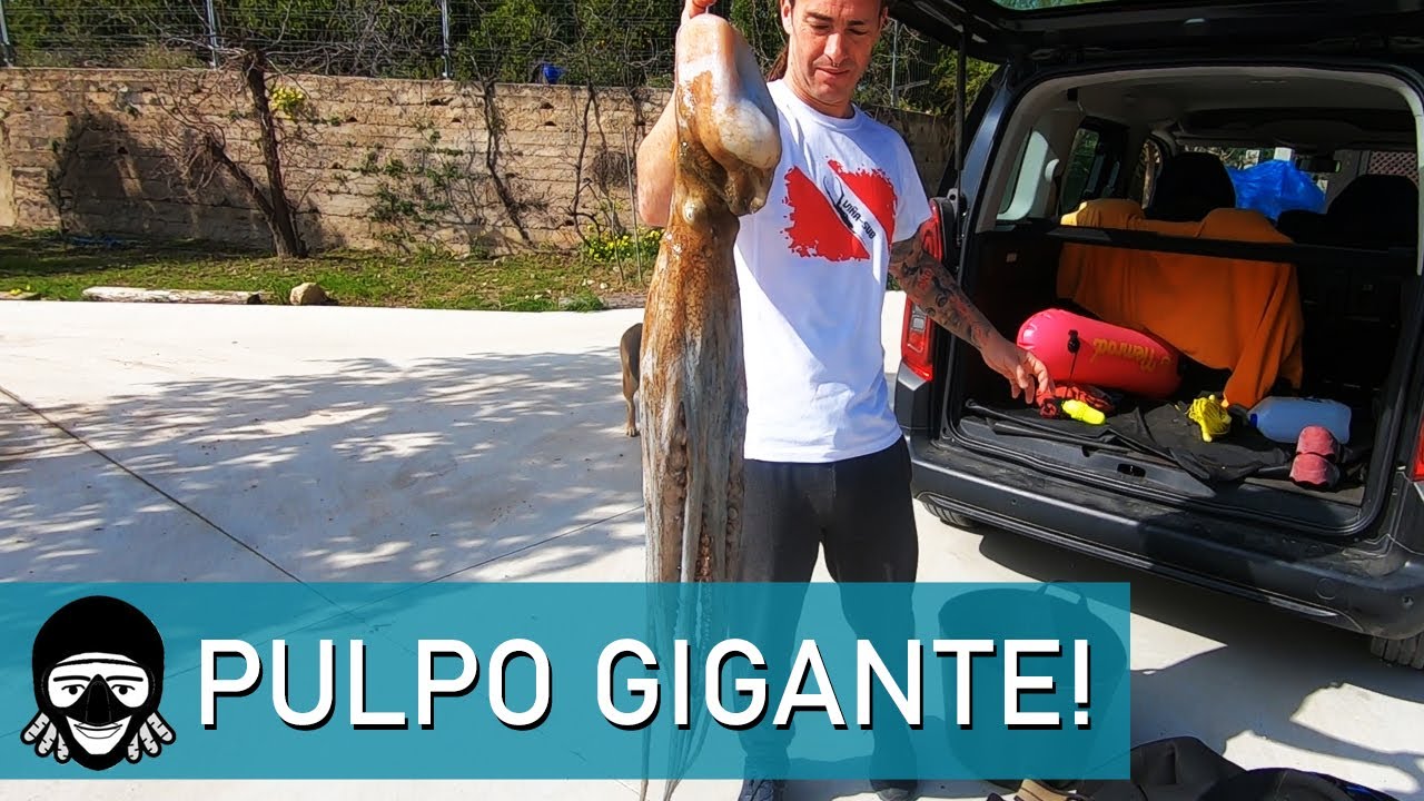 PESCANDO PULPOS  y cocinándolos al horno de leña | PESCA SUBMARINA para comer #3