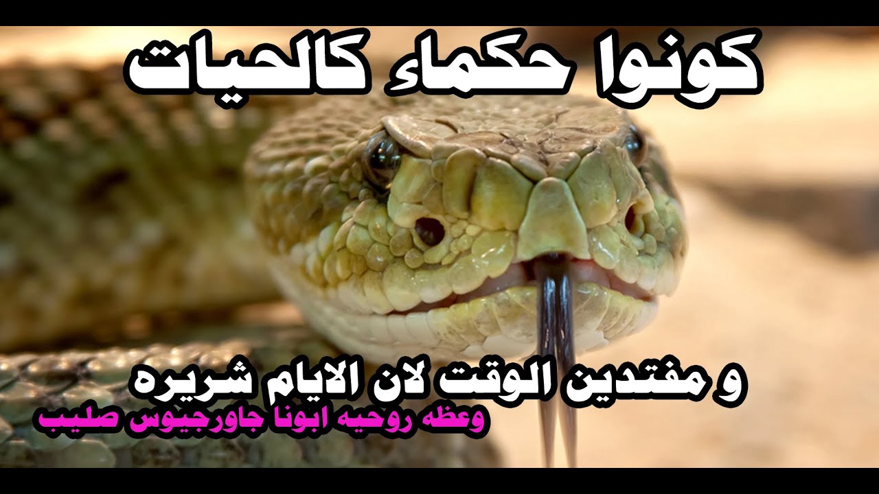 كونوا حكماء كالحيات و مفتدين الوقت لان الايام شريره وعظه روحيه ابونا جاورجيوس صليب