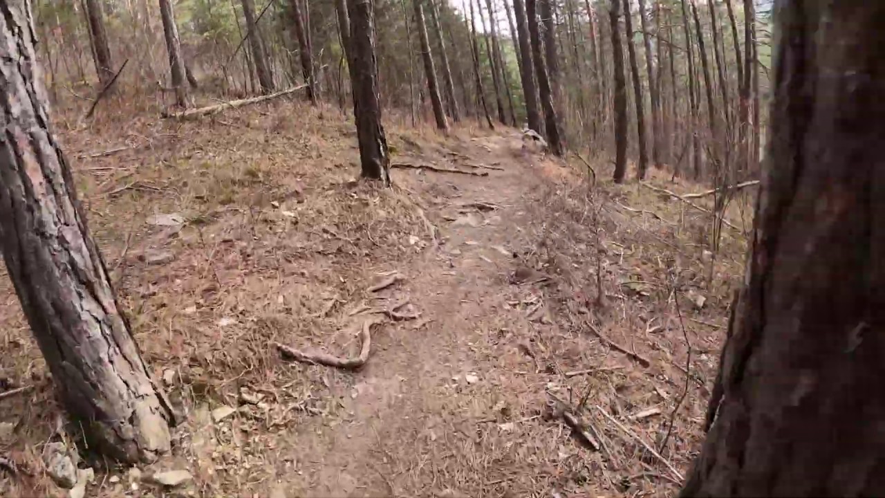 Mein letztes Mal Downhill in Arnstadt,Thüringen