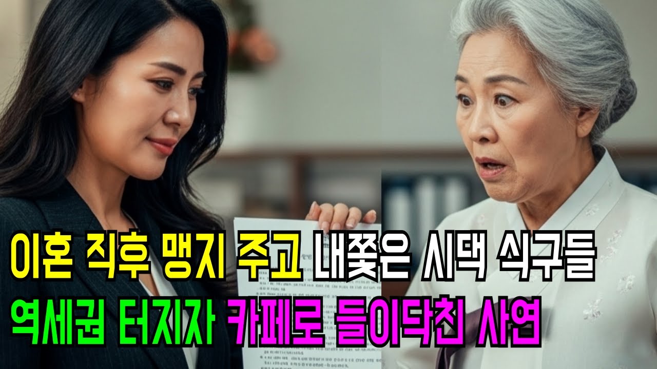 이혼 직후 맹지 주고 내쫓은 시댁 식구들,역세권 터지자 우리가 남이냐며 카페로 들이닥친 사연 시니어사연ㅣ가족사연ㅣ오디오북ㅣ사이다사연