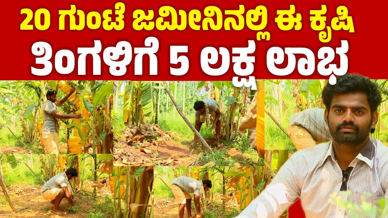 ಖಾಸಗಿ ಕೆಲಸ ಬಿಟ್ಟು ರೈತನದೆ.. ತಿಂಗಳಿಗೆ ಲಕ್ಷಗಟ್ಟಲೆ ದುಡಿತೀನಿ |success story