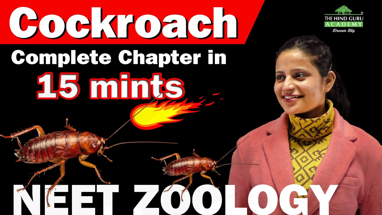 COCKROACH in 15 Minutes | Complete Chapter for NEET Zoology  #TheHindGuruAcademy
