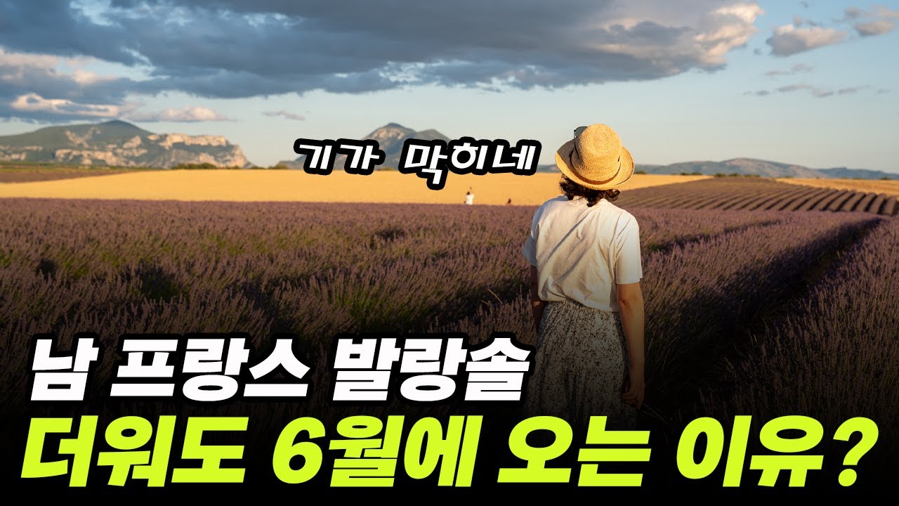 살면서 꼭 한번 와보세요! 6 월말 남프랑스 여행 단 10일만 볼수있는 풍경 입니다